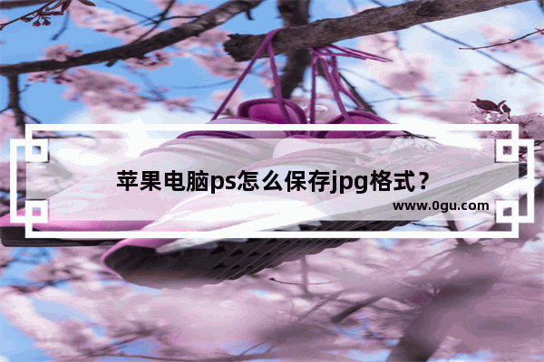 苹果电脑ps怎么保存jpg格式？