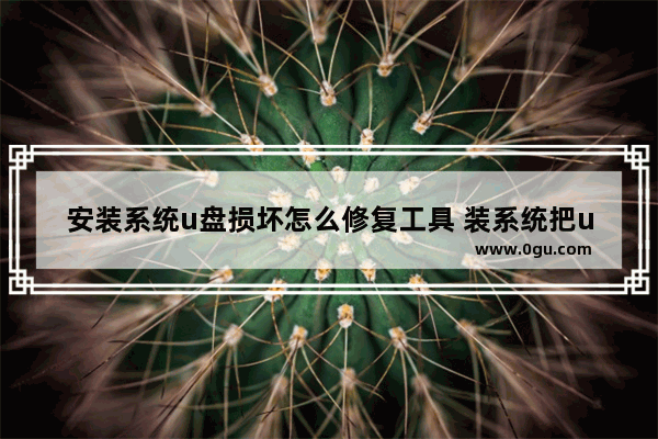 安装系统u盘损坏怎么修复工具 装系统把u盘弄坏了