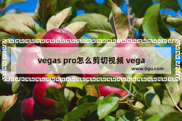 vegas pro怎么剪切视频 vegas pro18剪切视频的方法