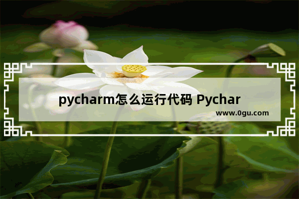 pycharm怎么运行代码 Pycharm运行代码的三种方法