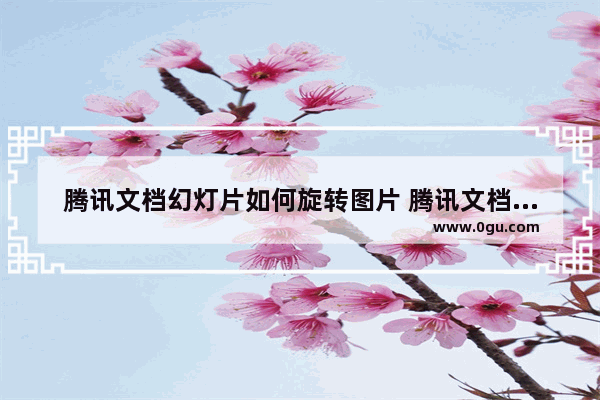 腾讯文档幻灯片如何旋转图片 腾讯文档幻灯片旋转图片的方法