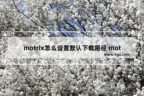 motrix怎么设置默认下载路径 motrix修改文件默认下载路径的方法