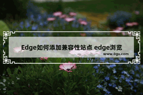 Edge如何添加兼容性站点 edge浏览器添加兼容性网址的方法