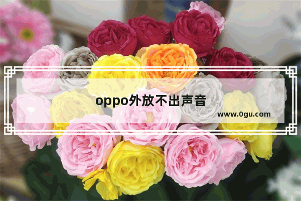 oppo外放不出声音