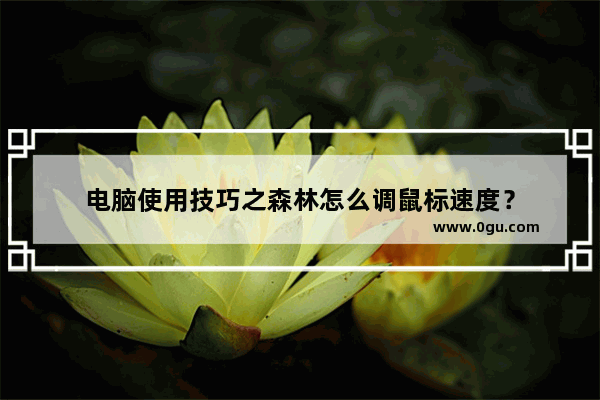 电脑使用技巧之森林怎么调鼠标速度？