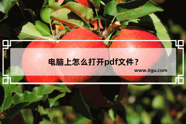 电脑上怎么打开pdf文件？