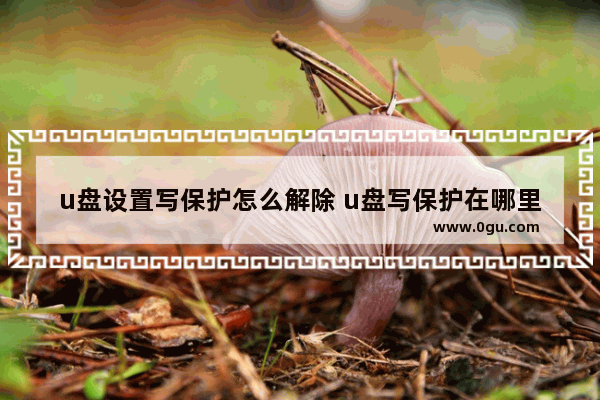 u盘设置写保护怎么解除 u盘写保护在哪里关掉