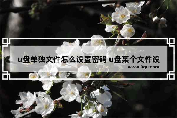 u盘单独文件怎么设置密码 u盘某个文件设置密码