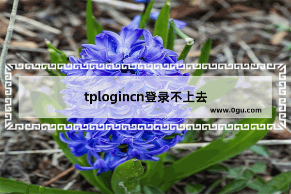 tplogincn登录不上去