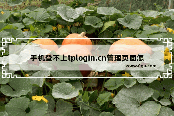 手机登不上tplogin.cn管理页面怎么办？