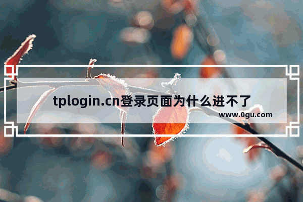 tplogin.cn登录页面为什么进不了？