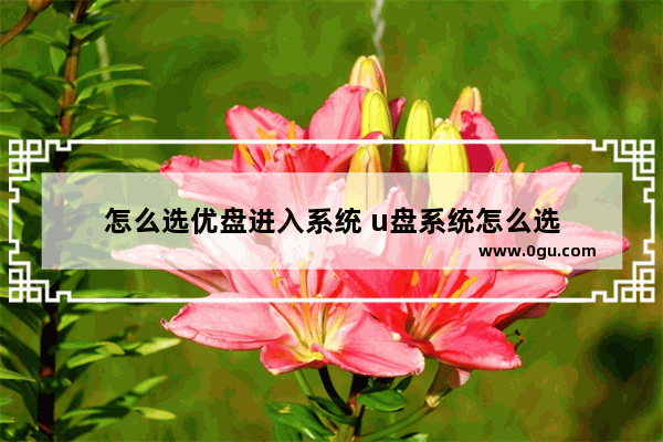 怎么选优盘进入系统 u盘系统怎么选