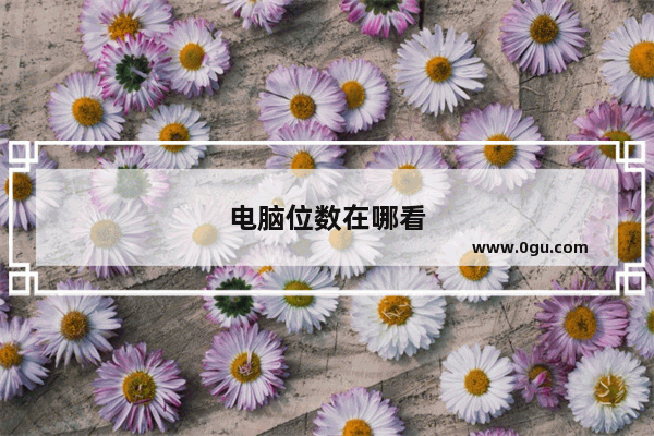 电脑位数在哪看