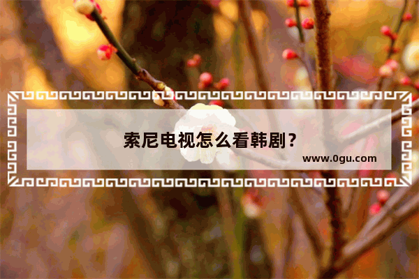 索尼电视怎么看韩剧？