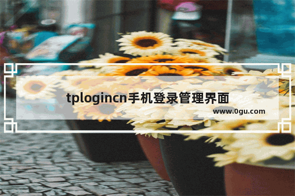 tplogincn手机登录管理界面