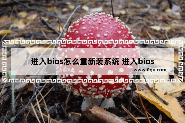 进入bios怎么重新装系统 进入bios后怎么重启