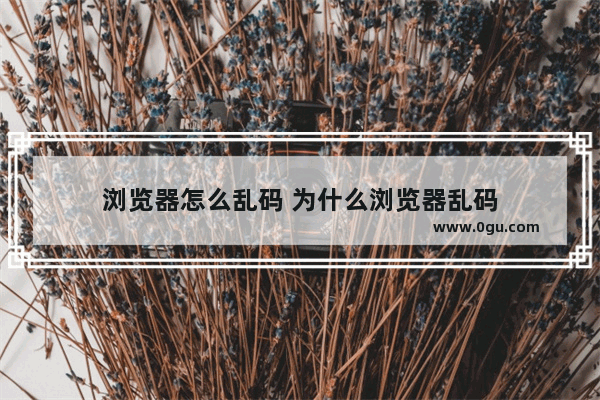 浏览器怎么乱码 为什么浏览器乱码