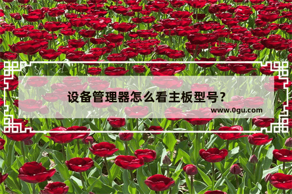 设备管理器怎么看主板型号？