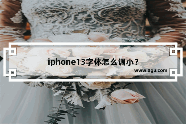 iphone13字体怎么调小？