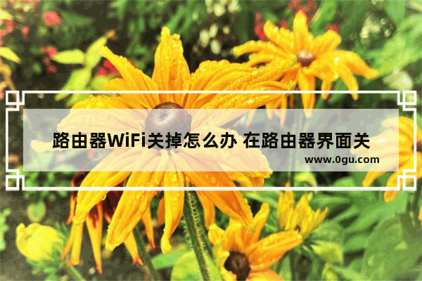 路由器WiFi关掉怎么办 在路由器界面关掉了wifi开关怎么办