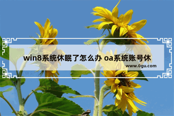 win8系统休眠了怎么办 oa系统账号休眠怎么办