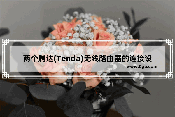 两个腾达(Tenda)无线路由器的连接设置上网