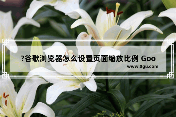 ?谷歌浏览器怎么设置页面缩放比例 Google Chrome调整页面缩放的方法教程