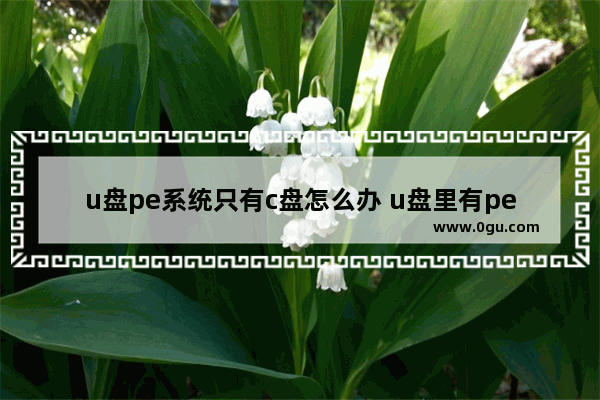 u盘pe系统只有c盘怎么办 u盘里有pe系统装win10系统
