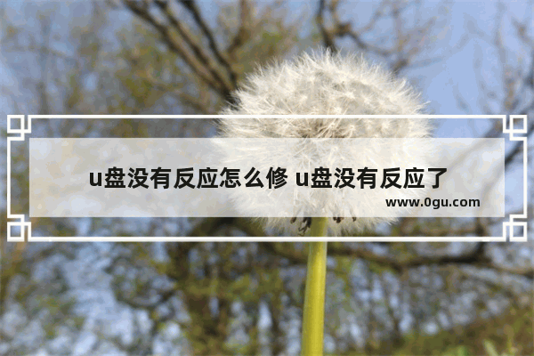 u盘没有反应怎么修 u盘没有反应了