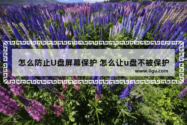 怎么防止U盘屏幕保护 怎么让u盘不被保护