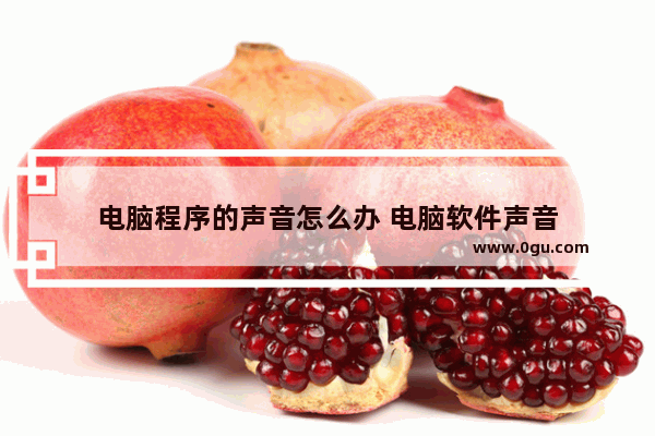 电脑程序的声音怎么办 电脑软件声音