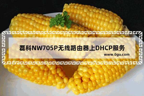 磊科NW705P无线路由器上DHCP服务器设置操作步骤