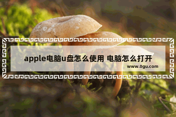 apple电脑u盘怎么使用 电脑怎么打开u盘