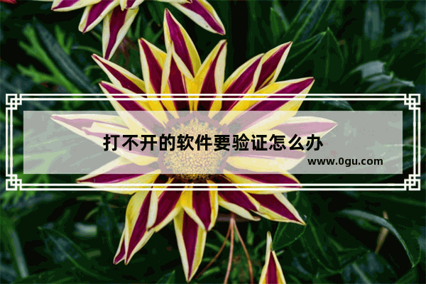 打不开的软件要验证怎么办