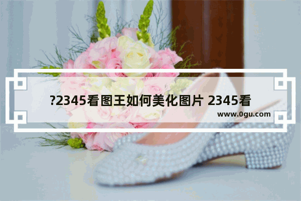 ?2345看图王如何美化图片 2345看图王中进行图片美化的方法教程