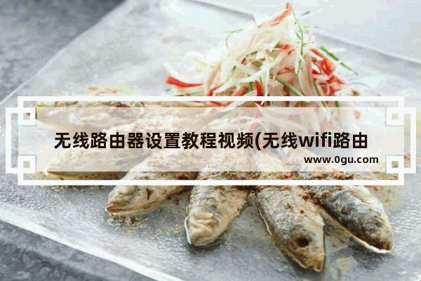 无线路由器设置教程视频(无线wifi路由器怎么设置)