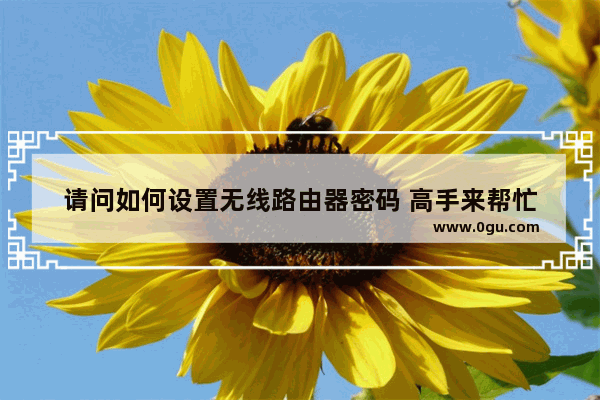 请问如何设置无线路由器密码 高手来帮忙