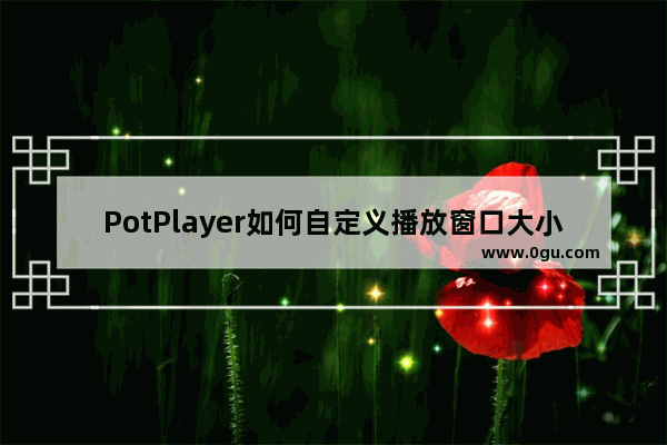 PotPlayer如何自定义播放窗口大小 PotPlayer自定义播放窗口大小的方法