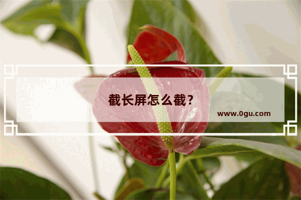 截长屏怎么截？