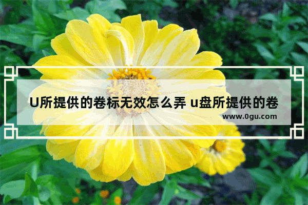 U所提供的卷标无效怎么弄 u盘所提供的卷标无效,请输入