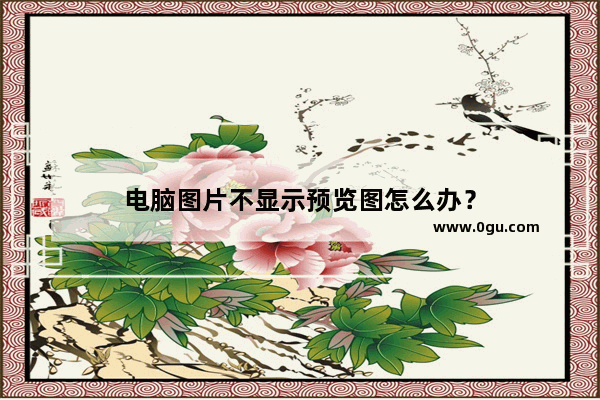 电脑图片不显示预览图怎么办？