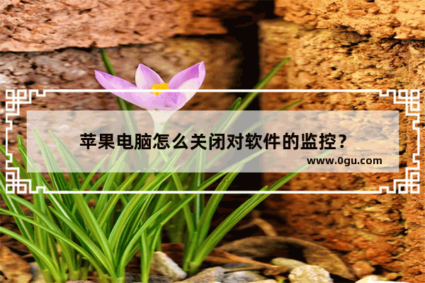 苹果电脑怎么关闭对软件的监控？