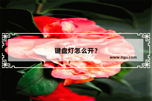 键盘灯怎么开？