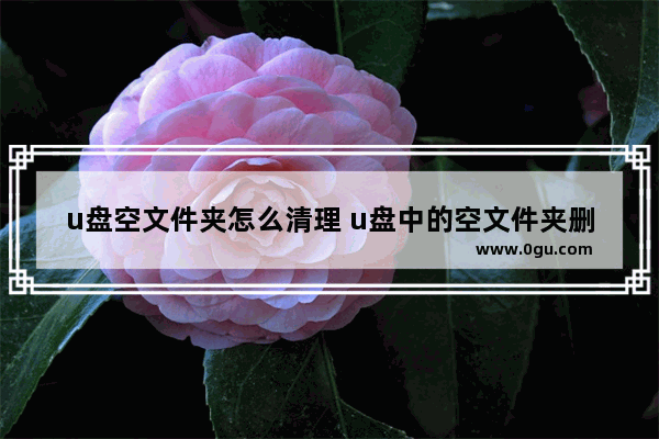 u盘空文件夹怎么清理 u盘中的空文件夹删不掉