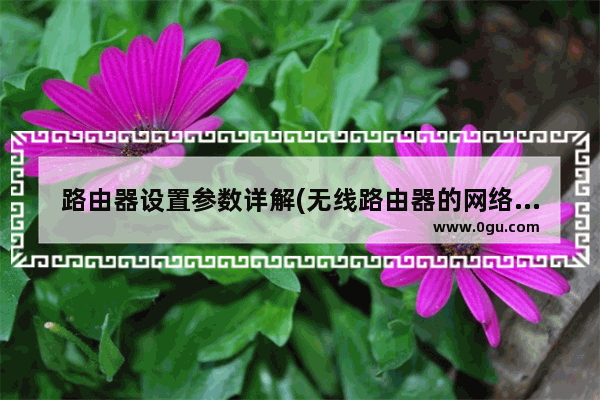 路由器设置参数详解(无线路由器的网络参数怎么设置)