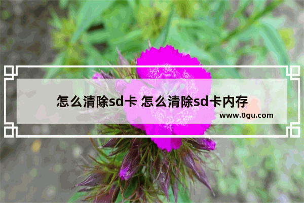 怎么清除sd卡 怎么清除sd卡内存