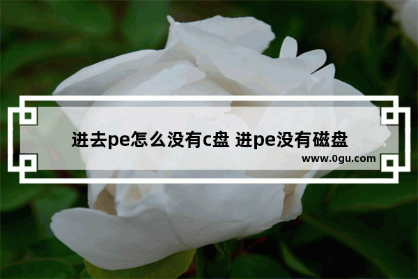 进去pe怎么没有c盘 进pe没有磁盘