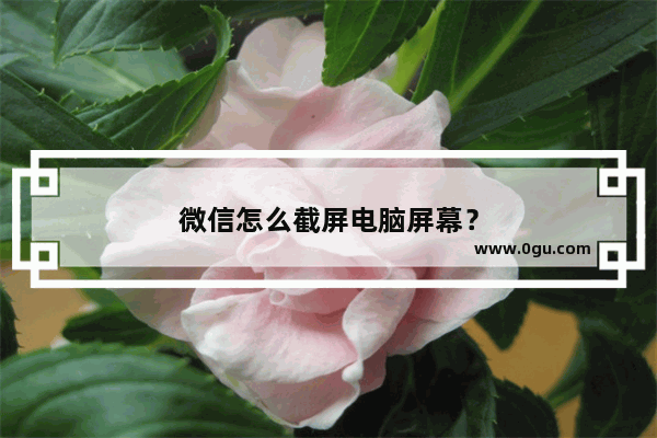 微信怎么截屏电脑屏幕？