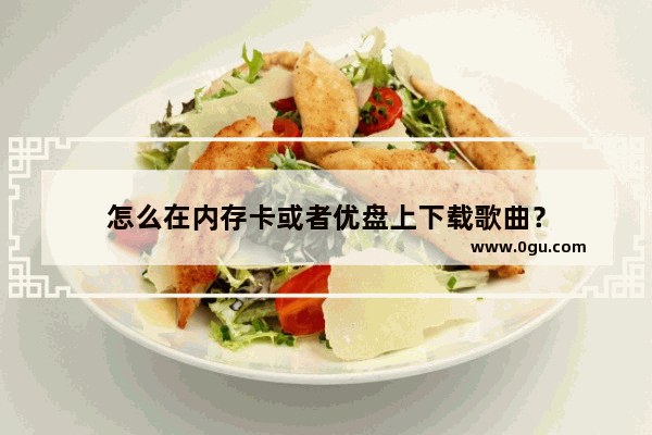 怎么在内存卡或者优盘上下载歌曲？