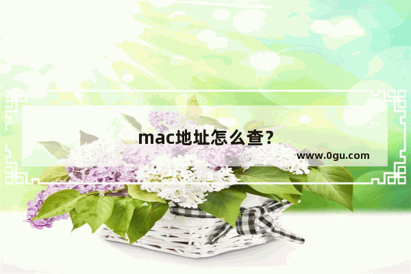 mac地址怎么查？